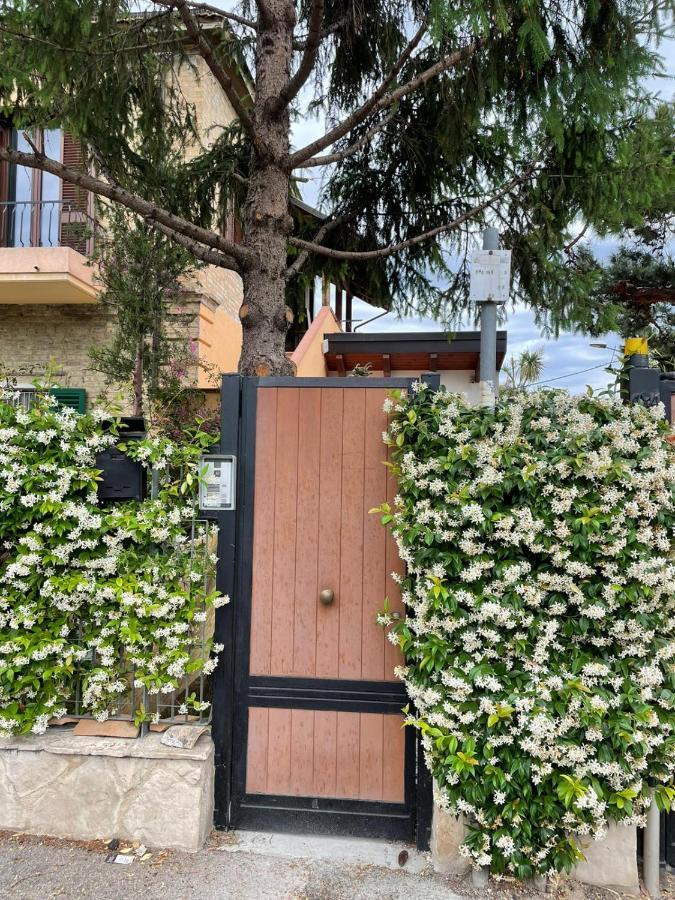 Casa Drema - Al Mare Con Terrazza Guest house Pescara
